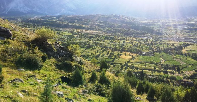 Bilamik Valley: The best tourist destination in Gilgit Baltistan