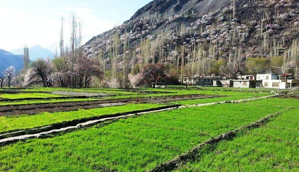 Mehdiabad Valley