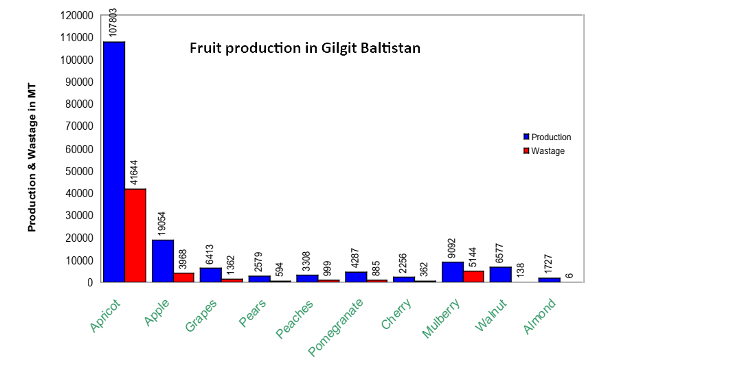 Fruit production and wastage In Gilgit Baltistan